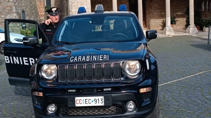 Carabinieri, Lugnano in Teverina, Terni, caccia, spari, finestra, denuncia, sequestro armi,