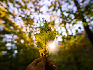Ambiente: l'Umbria accelera sulla svolta economica circolare