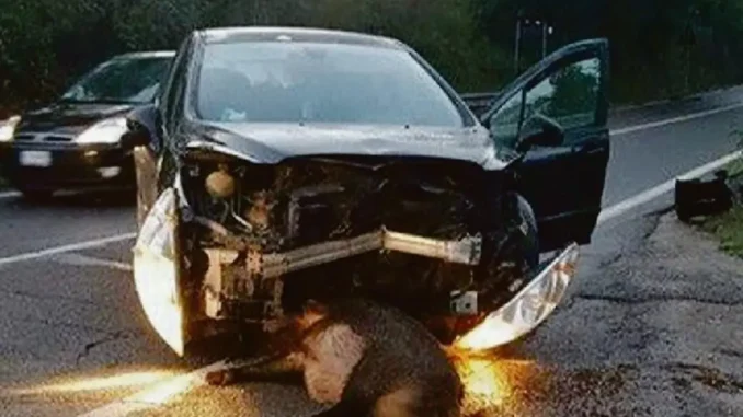 Cinghiali esplodono in Italia: pressione umana e caccia li moltiplica