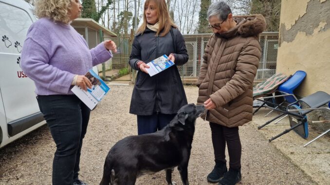 Adozione consapevole guida la nuova campagna provinciale