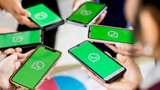Servizio digitale rivoluziona l’accesso alle informazioni umbre