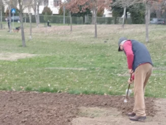 Volontari al lavoro per il rilancio del Parco Pascoletti
