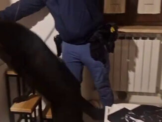 Smantellata rete di spaccio nel centro storico folignate, sei arresti