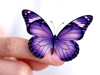 Epilessia, l'Umbria promuove cure avanzate e nuovi progetti