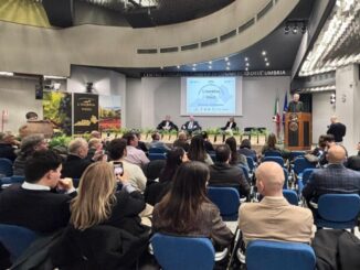 Concorso L'Umbria del Vino 2026: premiati vini da ventidue cantine umbre. Cerimonia alla Camera di Commercio di Perugia il 24 febbraio.