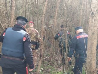 Spaccio boschi Orvieto, blitz carabinieri: arresti e droga