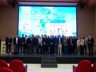 Il vino protagonista a Perugia: successo per Esperienze di Vitae