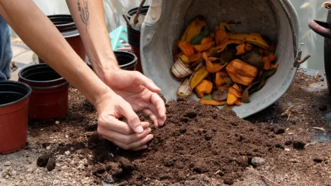Compostaggio domestico: Gesenu forma i cittadini di Perugia