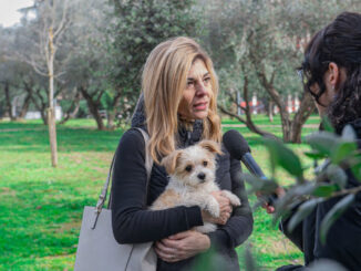Ospedale veterinario gratuito a Perugia, Scoccia chiama la Regione