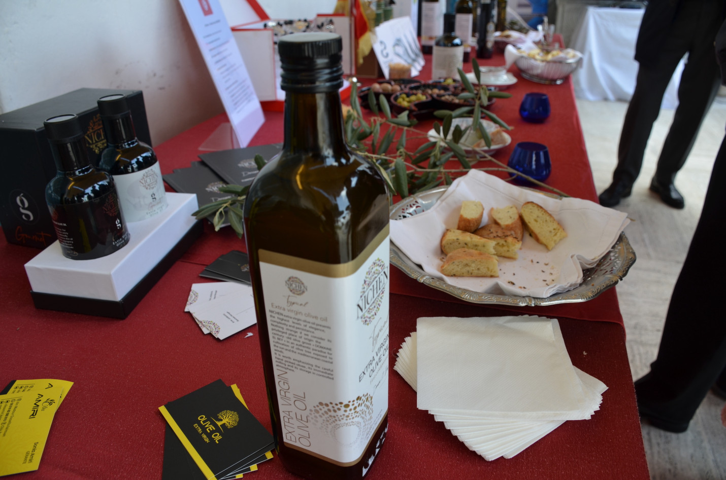 Cooperazione attiva tra Umbria e Tunisia: vertice a Roma