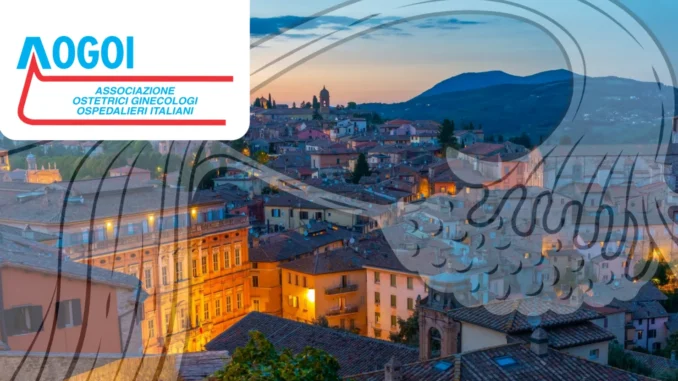 Utero e gravidanza: chirurgia e diagnosi in primo piano