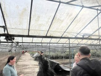 Istituto Raffaele Laporta di Fabro protagonista dell’Erasmus +