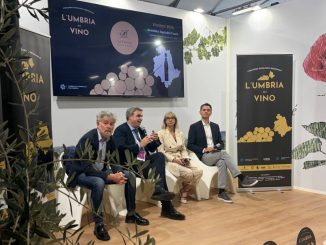 Vino, trionfo delle etichette umbre al Vinitaly di Verona