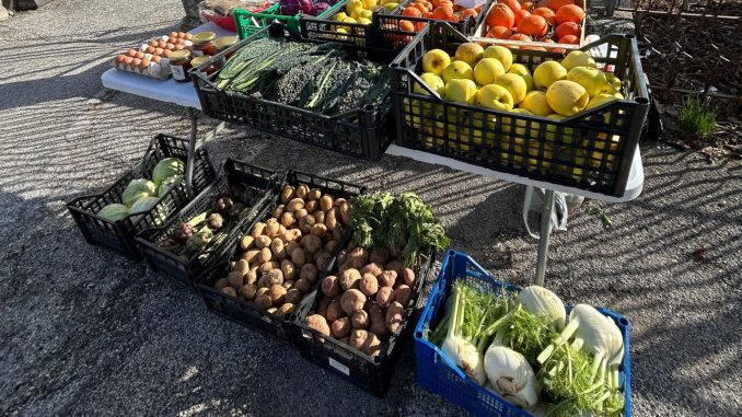 Marco Verre, il visionario della terra che sussurra alle stagioni
