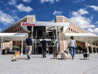 Cani e solidarietà uniti nel cuore dell'Umbria