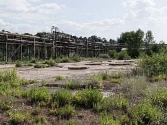 Bonifiche, a Narni la cura del territorio secondo One Health