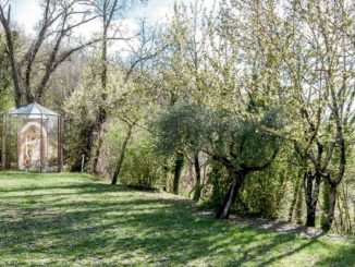 Festa dei Boschi celebra natura e territori con eventi diffusi