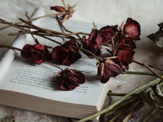 Mostro di Firenze e il caso Narducci tra ombre e nuovi dubbi