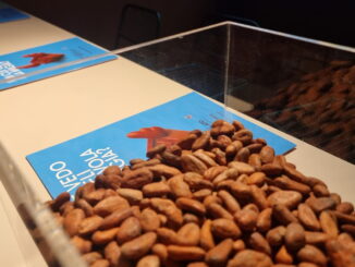 Cacao della Colombia a Perugia svela il grande piano di pace