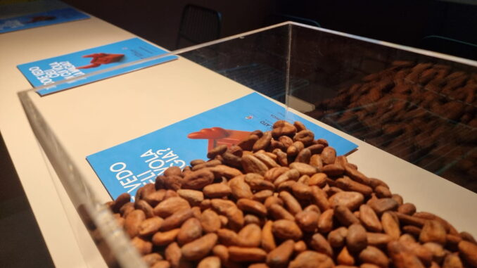 Cacao della Colombia a Perugia svela il grande piano di pace