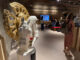 Cavalli Amati: la mostra a Perugia con le opere di Ballerani