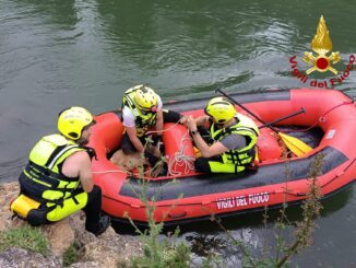 Capriolo nel canale, salvato dai Vigili del Fuoco