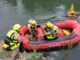 Capriolo nel canale, salvato dai Vigili del Fuoco