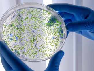 Umbria lancia piano one health contro antibiotico resistenza