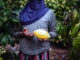Peace Flavours il progetto colombiano per lo sviluppo rurale