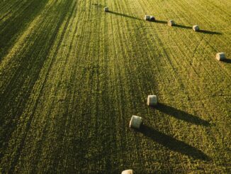 Biodiversità, otto milioni per salvare l'ecosistema umbro