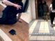 Degrado urbano alimenta tensioni [Video] nella palazzina di Fontivegge