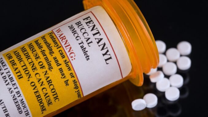 Fentanyl a Perugia indagati gli operatori di Forum Droghe