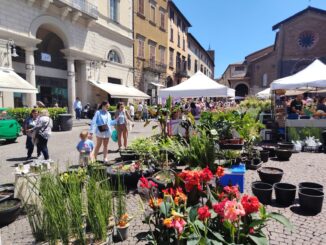 Mostra dei fiori ad Orvieto un boom di visite per il debutto