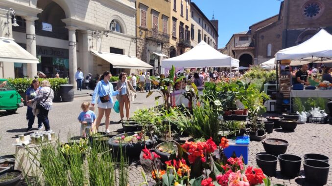 Mostra dei fiori ad Orvieto un boom di visite per il debutto