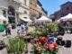 Mostra dei fiori ad Orvieto un boom di visite per il debutto