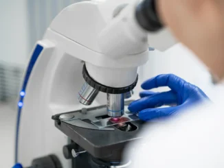 Hantavirus, nessun allarme Umbria, Regione attiva Protocolli cautela