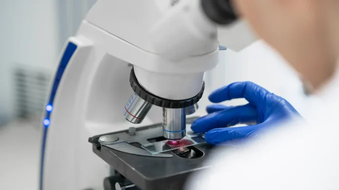 Hantavirus, nessun allarme Umbria, Regione attiva Protocolli cautela