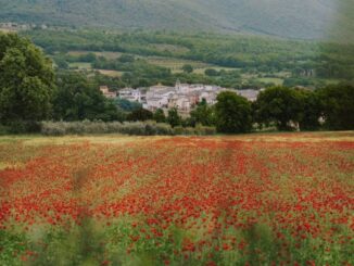 Culture Bike, cicloturismo tra storia e natura umbra slow