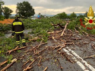 Terni, nubifragio abbatte due alberi su un semirimorchio in transito