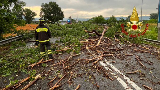 Terni, nubifragio abbatte due alberi su un semirimorchio in transito