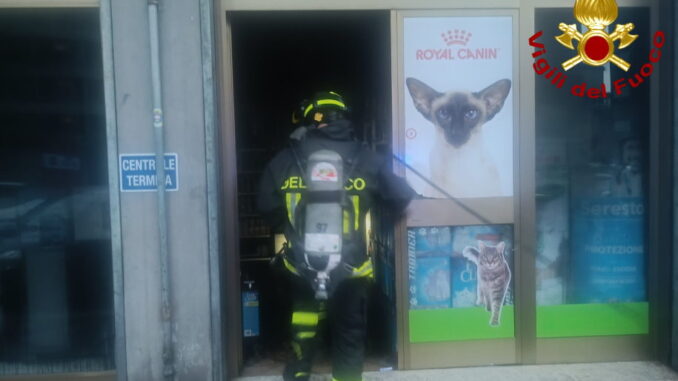Incendio negozio animali Terni [Video]: fiamme nella notte