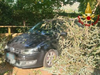 Rami si spezzano e colpiscono due auto in sosta a Orvieto