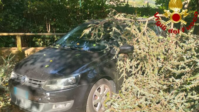 Rami si spezzano e colpiscono due auto in sosta a Orvieto