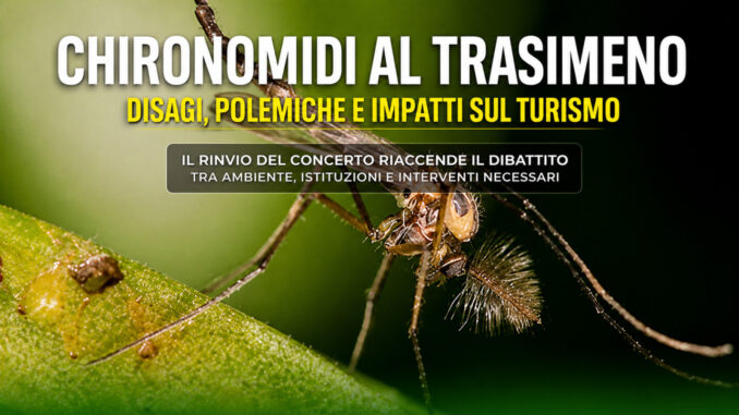 Chironomidi, allarme sul Trasimeno dopo il rinvio del concerto
