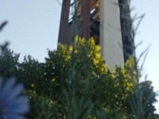 Degrado urbano a Ponte San Giovanni: protesta per le erbacce
