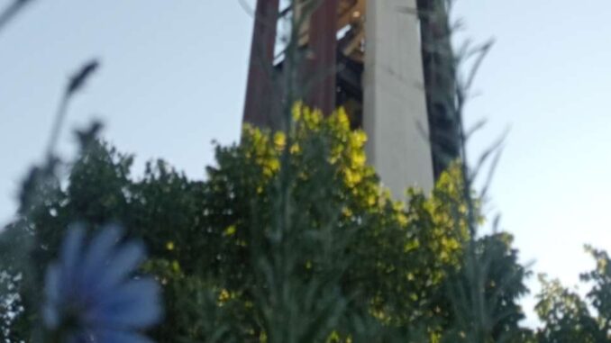 Degrado urbano a Ponte San Giovanni: protesta per le erbacce