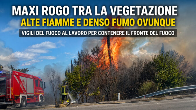 Maxi rogo tra la vegetazione, alte fiamme e denso fumo ovunque