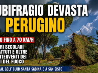 Nubifragio devasta il Perugino, alberi secolari abbattuti dal vento