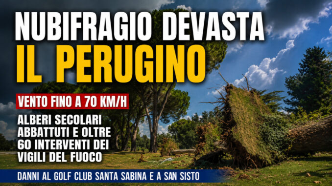 Nubifragio devasta il Perugino, alberi secolari abbattuti dal vento