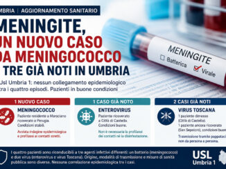 Meningite, un nuovo caso da meningococco e tre già noti in Umbria
